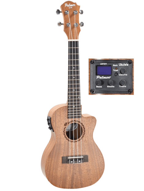 maui ceq mh